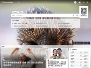 必应 网站截图