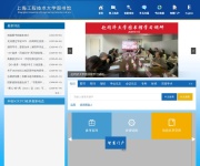 上海工程技术大学文献网 网站截图