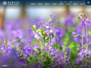 南京审计学院 网站截图