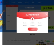 5184广东考试服务网 网站截图