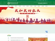 河南农业大学 网站截图
