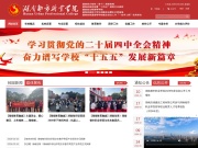 湖南都市职业学院 网站截图