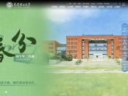 大连理工大学 网站截图