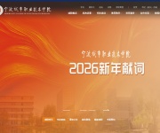 宁波城市职业技术学院 网站截图