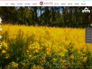 四川美术学院 网站截图