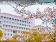 上海师范大学 网站截图