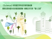 安徽农业大学 网站截图