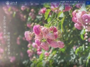 长安大学 网站截图