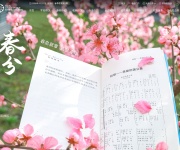 西南财经大学天府学院 网站截图