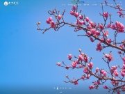 台州学院 网站截图