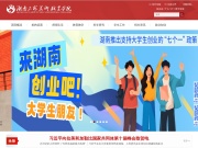 湖南工艺美术职业学院 网站截图