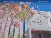 西北师范大学 网站截图