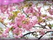 西安理工大学 网站截图