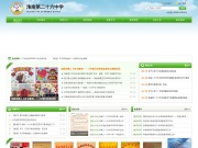 淮南第二十六中学 网站截图
