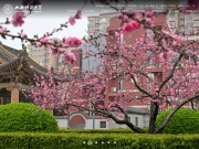 山西师范大学 网站截图