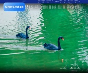 四川外语学院重庆南方翻译学院 网站截图