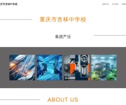 重庆市杏林中学校 网站截图