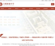 合肥新康中学 网站截图
